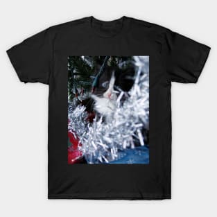 Christmas Kitty T-Shirt